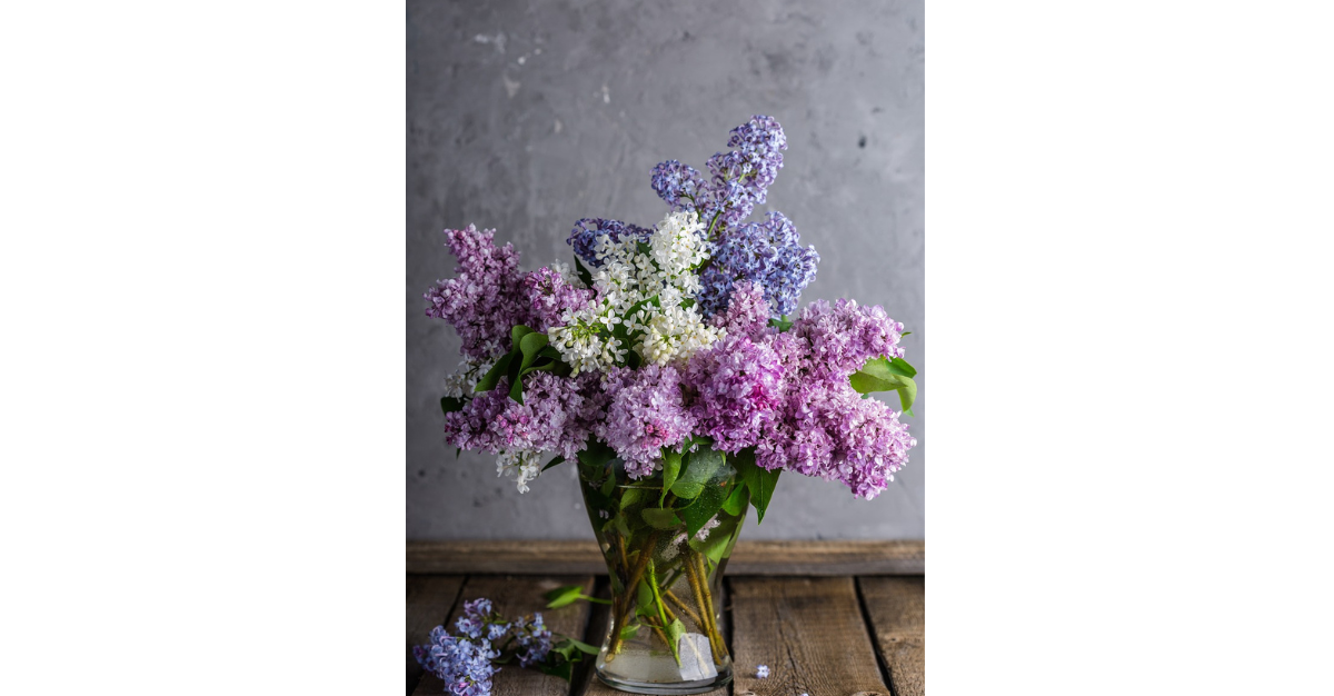 Blooming Joy: How Fresh Cut Flowers Can Transform Your Midlife Journey