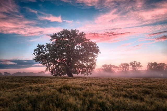25 Ways to Make Exercising Before 8AM Easier